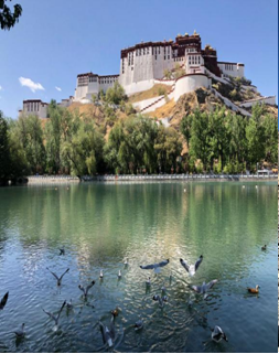 微信图片_20200416163858.png